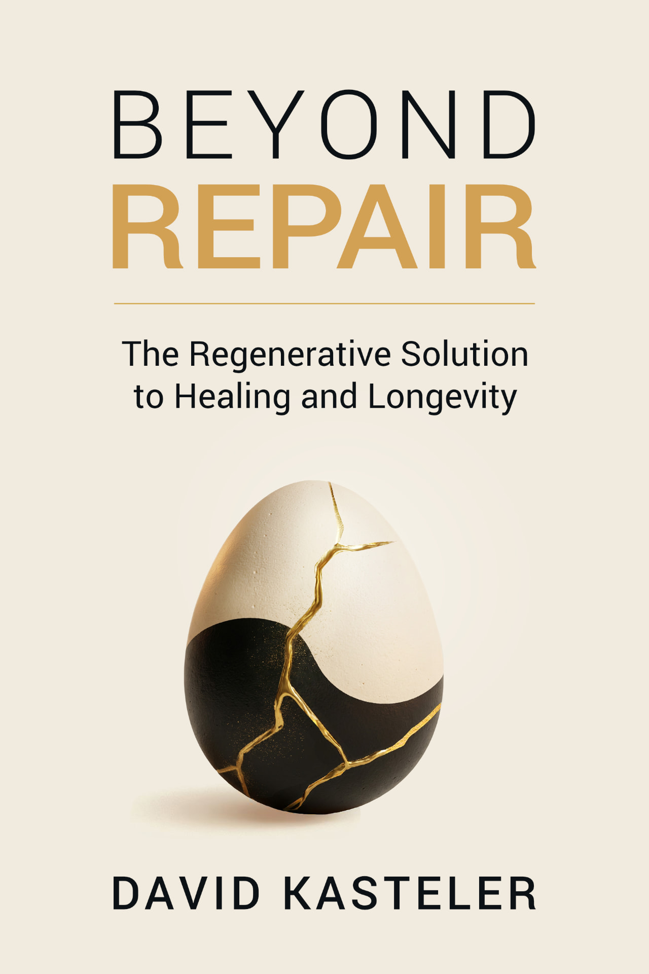 Cover of Beyond Repair by David Kasteler